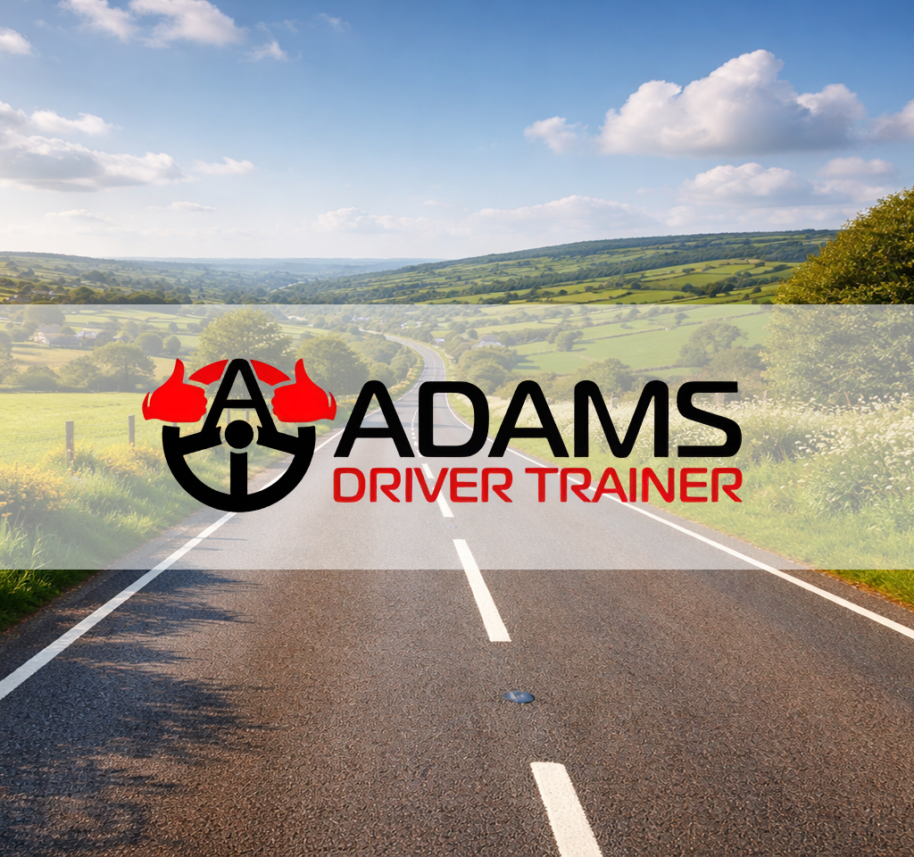Adams Driver Trainer - SEO Manchester client
